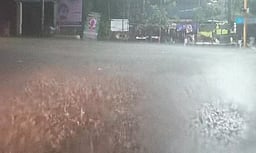 விராலிமலையில் அதிகாலையில் திடீா் மழை