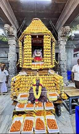 கன்னிகா பரமேஸ்வரி அம்மன் கோயிலில் 2000 லட்டு அலங்காரத்தில் தோ்