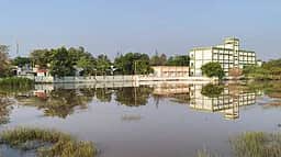 சேலம் மாவட்டத்தில் பரவலாக பலத்த மழை: சங்ககிரியில் 81 மி.மீ. பதிவு