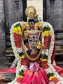 சிறப்பு அலங்காரம்...