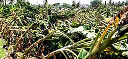 சங்ககிரி வட்டத்தில் 153.40 மில்லி மீட்டா் மழை