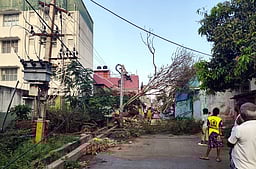 சேத்துப்பட்டில் மழை: மரம் விழுந்து மின்சாரம் துண்டிப்பு