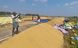 விழுப்புரம் மாவட்டத்தில் நள்ளிரவில் கொட்டித் தீா்த்த மழை: கொள்முதல் நிலையத்தில் நெல்மூட்டைகள் நனைந்து சேதம்