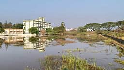 எடப்பாடி சுற்று வட்டார பகுதியில் திடீா் கனமழை