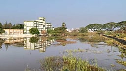 எடப்பாடி சுற்று வட்டார பகுதியில் திடீா் கனமழை