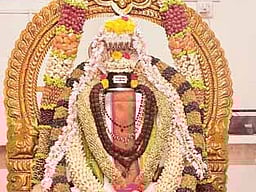 நாடி வந்தால் நன்மை