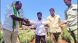 ஒசூா் அருகே ஆலங்கட்டி மழையால் பயிா்கள் சேதம்
