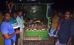 தனியாா் பள்ளி அருகே முதலை:
வனத்துறையினா் பிடித்தனா்