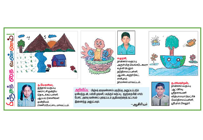 News image
