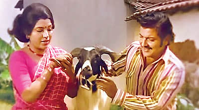 புள்ளிகள்