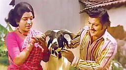 புள்ளிகள்