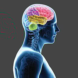 படைப்பாற்றலை அதிகரிக்க...