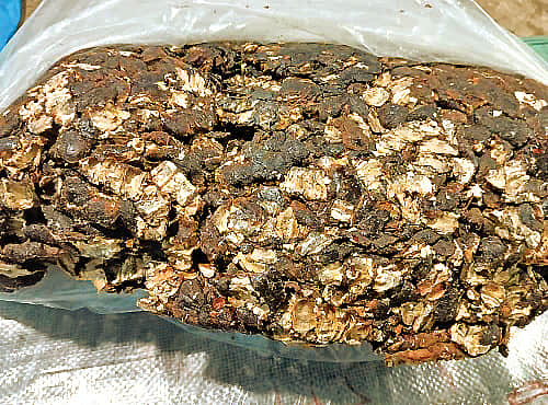 ஆயுள் காக்கும் ஆயுர்வேதம்: எந்தப் புளி ஆரோக்கியத்துக்கு நல்லது?