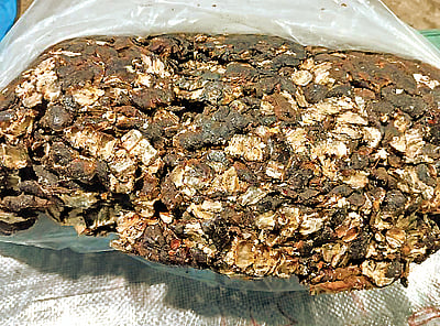 ஆயுள் காக்கும் ஆயுர்வேதம்: எந்தப் புளி ஆரோக்கியத்துக்கு நல்லது?