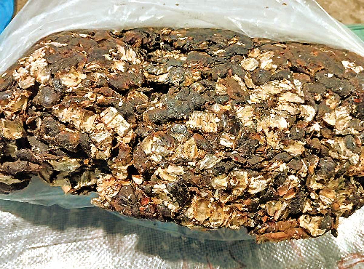 ஆயுள் காக்கும் ஆயுர்வேதம்: எந்தப் புளி ஆரோக்கியத்துக்கு நல்லது?