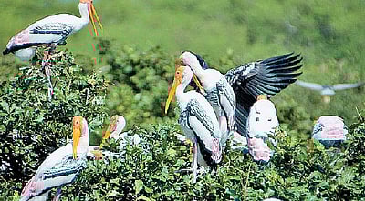 தொகுதி விவரக் குறிப்பு: அரியலூா் - 149!