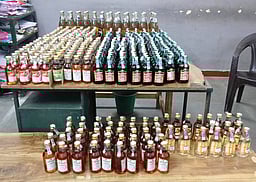 பழனியில் 700 மதுப்புட்டிகள் பறிமுதல்: 9 போ் கைது