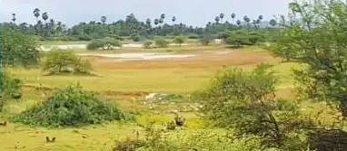 இரட்டைகுளம் புதிய கால்வாய் இணைப்புத் திட்டம்: விவசாயிகளின் 64 ஆண்டுகால கனவு நிறைவேறுமா?