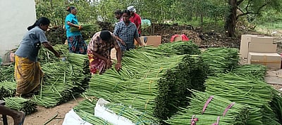 தொகுதி விவரக் குறிப்பு: அரவக்குறிச்சி