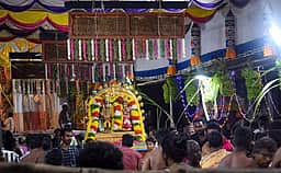 தியாகராஜா் கோயிலில் வசந்த உற்சவம்