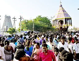 மன்னாா்குடி கோயில் பங்குனி திருவிழா தேரோட்டம்