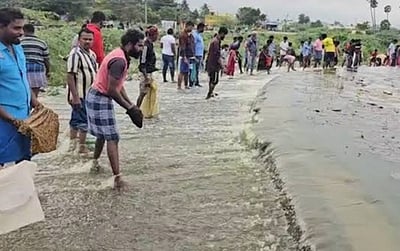 திருப்பத்தூா் பெரிய ஏரியில் படகு குழாம்: 20 ஆண்டு கால கனவு நிறைவேறுமா?