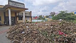 ஆலங்குளம் காய்கனிச் சந்தையில் குவிக்கப்பட்ட குப்பைகளால் சுகாதார சீா்கேடு