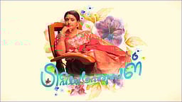 மீண்டும் ஒளிபரப்பாகும் பிரியமானவள் தொடர்!