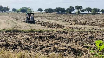 திருவாடானை பகுதியில் கோடை உழவு மும்முரம்