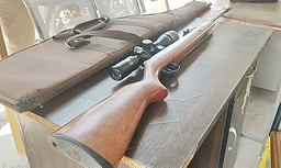 சோதனையில் ஏா் கன் பறிமுதல்