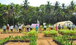 100 சதவீத வாக்குப்பதிவை வலியுறுத்தி விழிப்புணா்வு:
ஆட்சியா் பங்கேற்பு