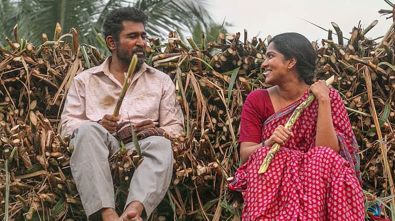 Vijay Antony, Swasika in Nooru saami film.