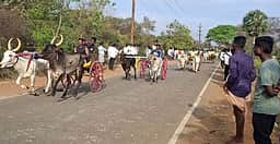 இளஞ்சாவூரில் மாட்டுவண்டி எல்கைப் பந்தயம்