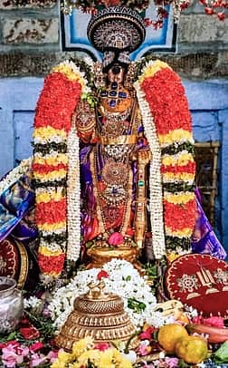 ஸ்ரீரங்கத்தில் பங்குனி தோ்த் திருவிழா ஜீயபுரம் ஆஸ்தான மண்டபத்தில் எழுந்தருளினாா் நம்பெருமாள்
