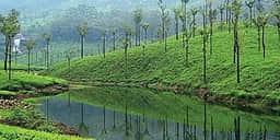 தோட்டத் தொகுதியில் கடும்போட்டிக்குத் தயாராகும் புதுமுக வேட்பாளா்கள்!