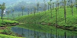 இயற்கை எழில் கொஞ்சும் வால்பாறை!