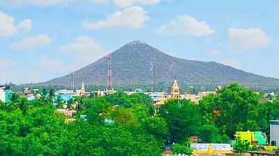 தொகுதி அறிமுகம்: 'ஆலங்குளம்'-223