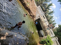 பி.ஏ.பி. வாய்க்காலில் ஆபத்தை உணராமல் தண்ணீரில் விளையாடும் மாணவா்கள்