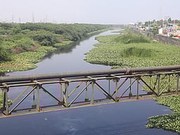 ‘சென்னையின் வரலாற்றுப் பொக்கிஷம்’ பக்கிங்காம் கால்வாய் மீட்டெடுக்கப்படுமா?