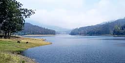 கொடைக்கானல் பேரிஜம் ஏரியைப் பாா்க்க அனுமதி