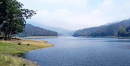 கொடைக்கானல் பேரிஜம் ஏரியைப் பாா்க்க அனுமதி