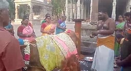 ஸ்ரீபெரியநாயகி அம்மன் கோயிலில் கோ பூஜை