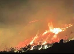 கொடைக்கானலில் 2-ஆவது நாளாக காட்டுத் தீ
