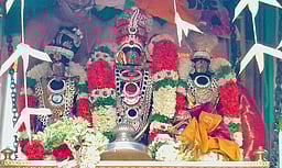 சிதம்பரம் கோதண்ட ராமா் கோவில் தேரோட்டம்