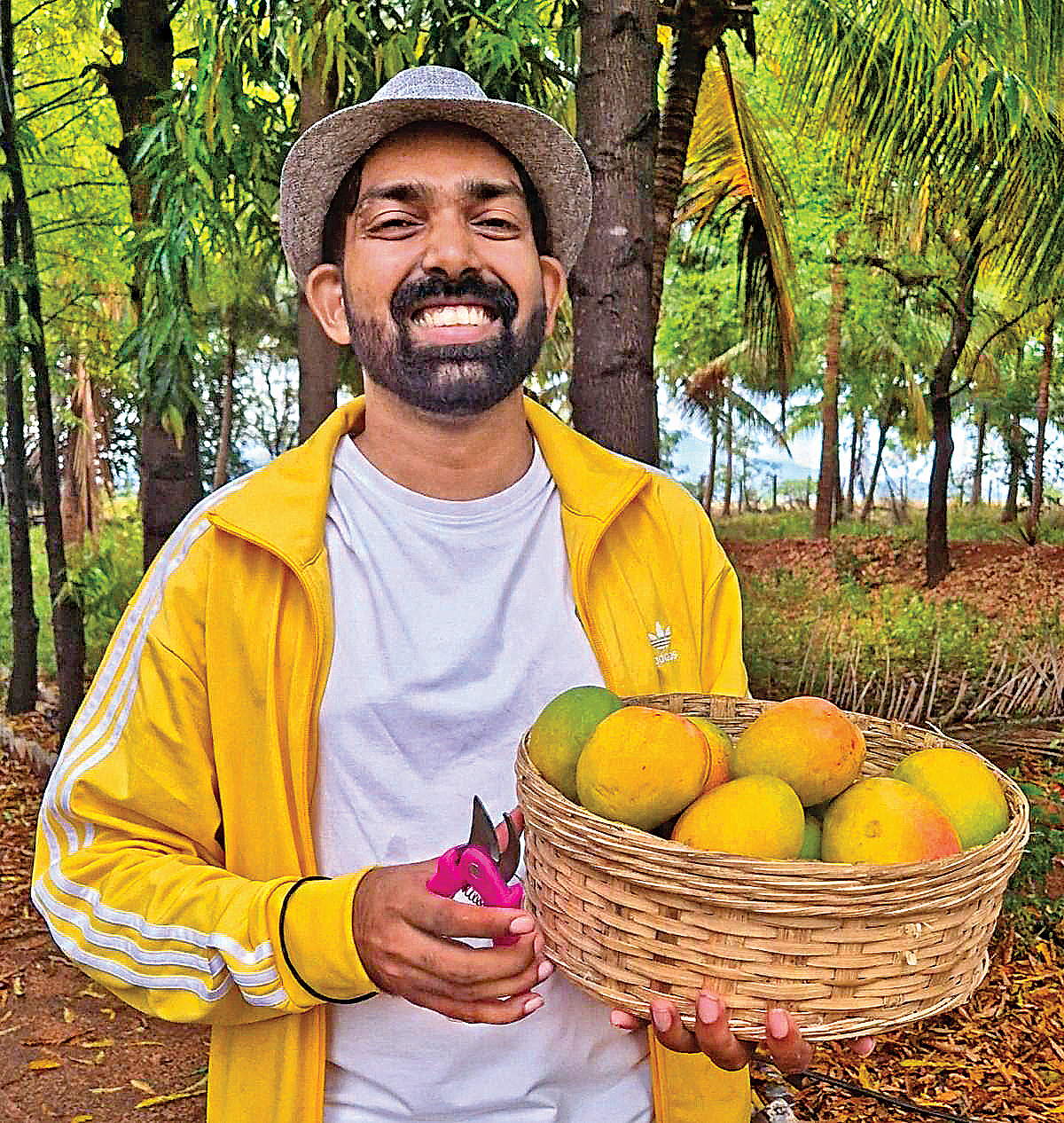 வாடகைக்கு ஒரு மாமரம்...