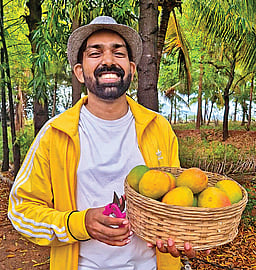 வாடகைக்கு ஒரு மாமரம்...