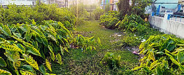 கேரளம் - கன்னியாகுமரி இடையே ஏவிஎம் கால்வாய் நீா்வழிப் போக்குவரத்து தொடங்கப்படுமா?