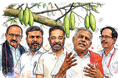 சொல்லப் போனால்... இலவு காக்கும் கிளிகள்?