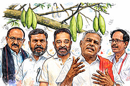 சொல்லப் போனால்... இலவு காக்கும் கிளிகள்?