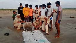 வேதாரண்யம் கடலில் விடப்பட்ட ஆமைக் குஞ்சுகள்